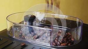 Adding of Roasted Coffee Beans to the Coffee Machine