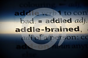 Addle-brained