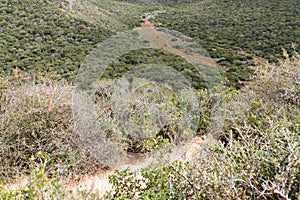 Addo Elephant National Park: the valley bushveld