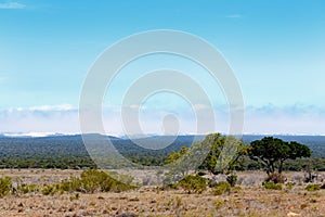 Addo Landscape with clouds