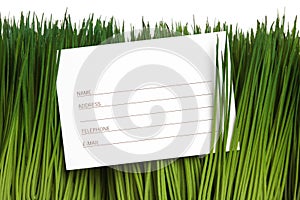 Address Book and green grass