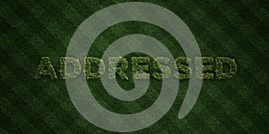 ADDRESSED - fresh Grass letters with flowers and dandelions - 3D rendered royalty free stock image