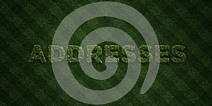 ADDRESSES - fresh Grass letters with flowers and dandelions - 3D rendered royalty free stock image