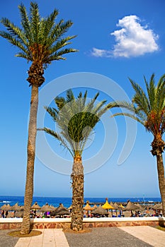 Adeje coast Las americas beach in south Tenerife