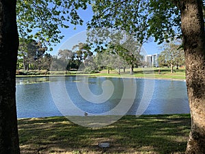 Adelaide city park