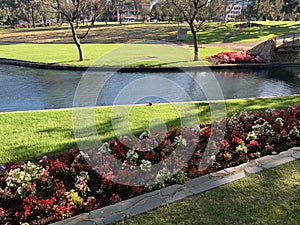 Adelaide city park