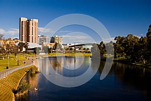 Adelaide Cityscape