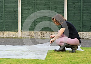 Adele securing netting over areas of lawn previously attacked by chaffer grubbs.