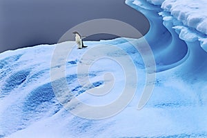 Adelie Penguin Blue Iceberg Closeup Charlotte Bay Antarctica