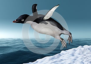 Adelie Penguin