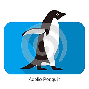 Adelie penguin walking, Penguin series vector illustration