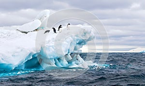 Adelie penguins on a beautiful iceberg in Antarctica.