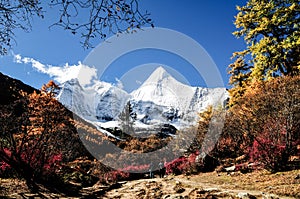 Aden Nature Reserve in China