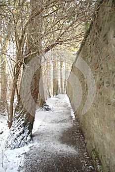 Aden Path in the Winter