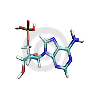 Adenine