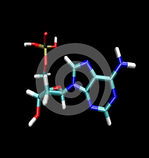 Adenine