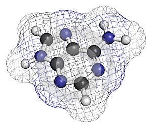 Adenine (A, Adenine) purine nucleobase molecule. Base present in DNA and RNA. Atoms are represented as spheres with conventional