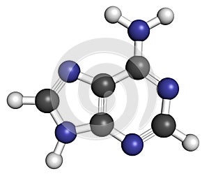 Adenine (A, Adenine) purine nucleobase molecule. Base present in DNA and RNA. Atoms are represented as spheres with conventional