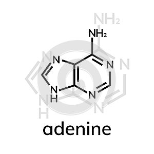 Adenine chemical formula