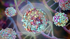 Adeno-associated viruses, 3D illustration photo