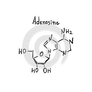 Adenosin Molecule Formula Hand Drawn Imitation photo