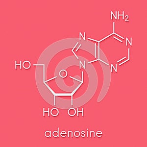 Adenosine Ado purine nucleoside molecule. Important component of ATP, ADP, cAMP and RNA. Also used as drug. Skeletal formula. photo