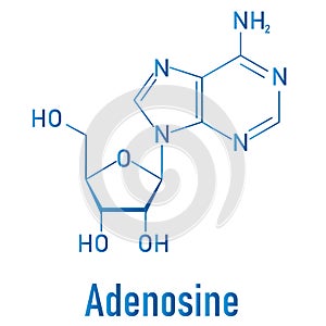 Adenosine or Ado purine nucleoside molecule. Skeletal formula. photo