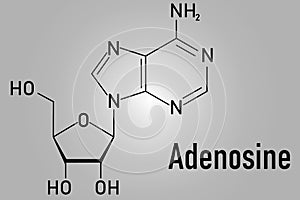 Adenosine or Ado purine nucleoside molecule. Skeletal formula. photo