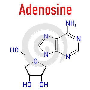 Adenosine or Ado purine nucleoside molecule. Skeletal formula.