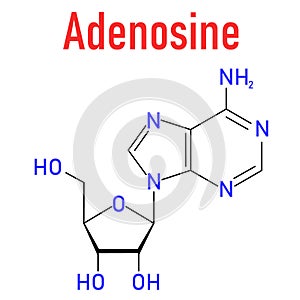 Adenosine or Ado purine nucleoside molecule. Skeletal formula. photo