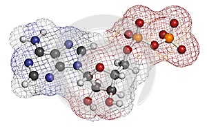 Adenosine diphosphate (ADP) molecule. Plays essential role in energy use and storage in the cell. Atoms are represented as spheres