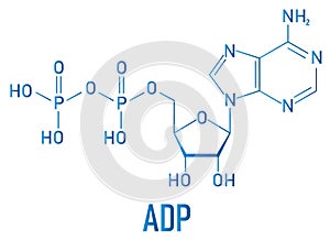 Adenosine diphosphate or ADP molecule. Plays essential role in energy use and storage in the cell. Skeletal formula.