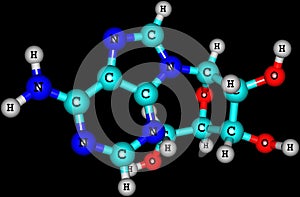 Adenosine molecule isolated on black