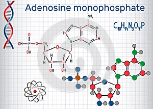 Adenosine monophosphate AMP molecule, it is an ester of phosph