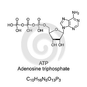 Adenosine triphosphate, ATP, chemical formula and skeletal structure photo