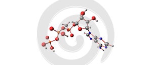 Adenosine triphosphate molecular structure isolated on white photo