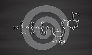 Adenosine triphosphate (ATP) molecule. Functions as neurotransmitter, RNA building block, energy transfer molecule, etc