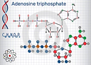 Adenosine triphosphate ATP molecule , is intracellular energy