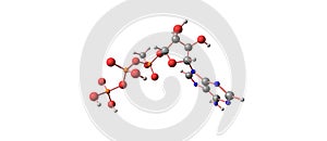 Adenosine triphosphate molecular structure isolated on white