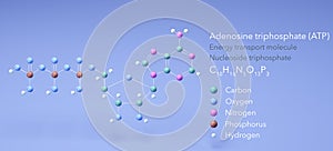 adenosine triphosphate, molecular structures, energy transport, ball and stick model 3d, Structural Chemical Formula and Atoms