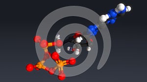 Adenosine triphosphate structure