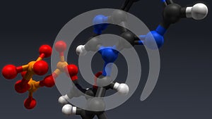 Adenosine triphosphate structure