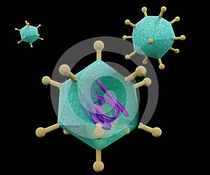 Adenovirus as oncolytic virus for tumor therapy