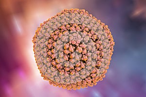 Adenovirus, a virus which cause respiratory infections