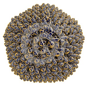 Adenovirus, a virus which cause respiratory infections photo