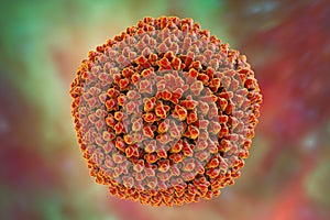 Adenovirus, a virus which cause respiratory infections photo