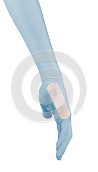 Adhesive Healing plaster on finger.