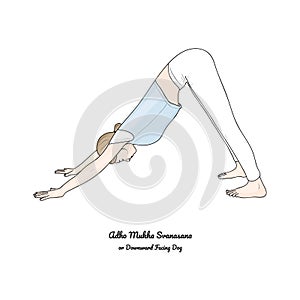 Adho Mukha Svanasana or Downward Facing Dog. Vector