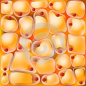Adipocyte or fat cells. medical background photo