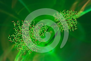 Adipocyte fatty acid binding protein in complex with a carboxylic acid ligand on green background. 3d illustration